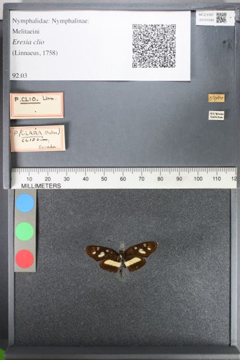 Media type: image;   Entomology 101049